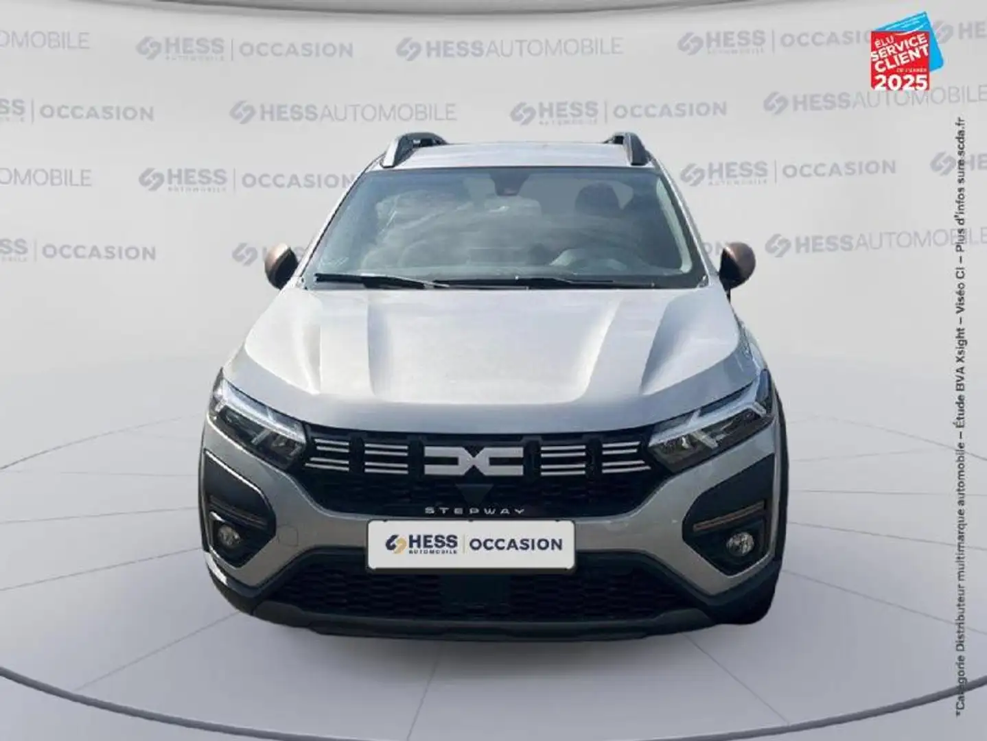 Dacia Sandero 1.0 ECO-G 100ch Stepway Extreme + GPS Camera Gris - 2