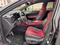 Lexus NX 300 NX Plug-in 4WD F-Sport - thumbnail 10