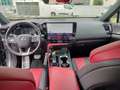 Lexus NX 300 NX Plug-in 4WD F-Sport - thumbnail 12