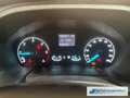 Ford Transit Custom Kasten 340 L2 Trend 2.0 TDCi Navi Apple CarPlay An Roşu - thumbnail 12