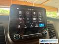 Ford Transit Custom Kasten 340 L2 Trend 2.0 TDCi Navi Apple CarPlay An Roşu - thumbnail 20