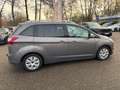 Ford Grand C-Max Grand C-MAX Business Edition Aut AHK 7-Sitzer Braun - thumbnail 13