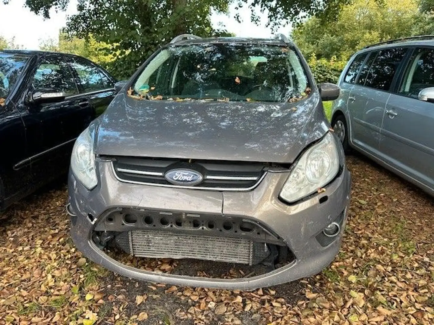 Ford Grand C-Max Grand C-MAX Business Edition Aut AHK 7-Sitzer Braun - 1