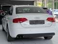 Audi A4 1.8 T *S-LINE+*S-TRO.*NAVI*T-LEDER*KETTE-NEU* Weiß - thumbnail 7