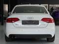 Audi A4 1.8 T *S-LINE+*S-TRO.*NAVI*T-LEDER*KETTE-NEU* Weiß - thumbnail 6