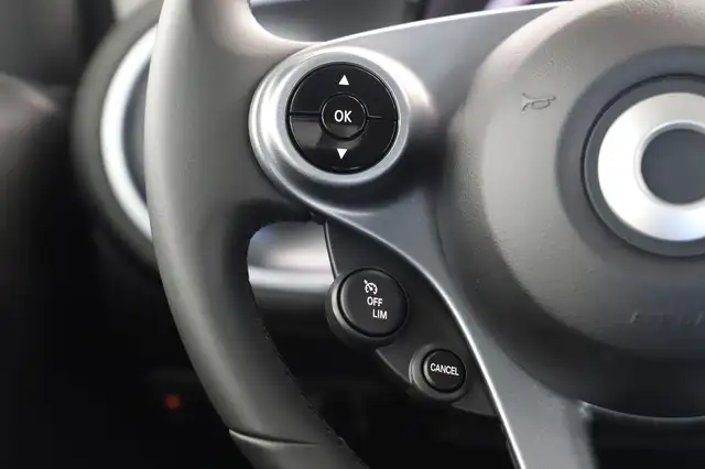 Smart Fortwo view 22