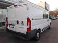 Fiat Ducato 35 150 Mjet 5 Sitzer Weiß - thumbnail 5