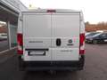 Fiat Ducato 35 150 Mjet 5 Sitzer Weiß - thumbnail 6