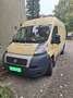 Fiat Ducato L1 - thumbnail 3