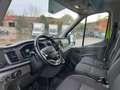 Ford Transit FT 350 130 L4 AUTO Weiß - thumbnail 5