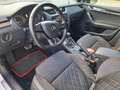 Skoda Octavia RS DSG 4x4 VRS, Moon Weiss metallic, 18 Zoll Weiß - thumbnail 6