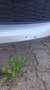 Audi A6 allroad A6 Allroad 3,0 TDI quattro S-tronic Silber - thumbnail 12