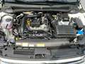 Volkswagen Polo GOAL 1.0 TSI LED*ACC*SHZ*PDC*2-ZONEN Weiß - thumbnail 15