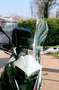 Benelli TRK 251 Blanco - thumbnail 6