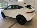Jaguar E-Pace E-PACE S LED Navi Vollleder 20" SiHz Kamera DAB Bianco - thumbnail 6