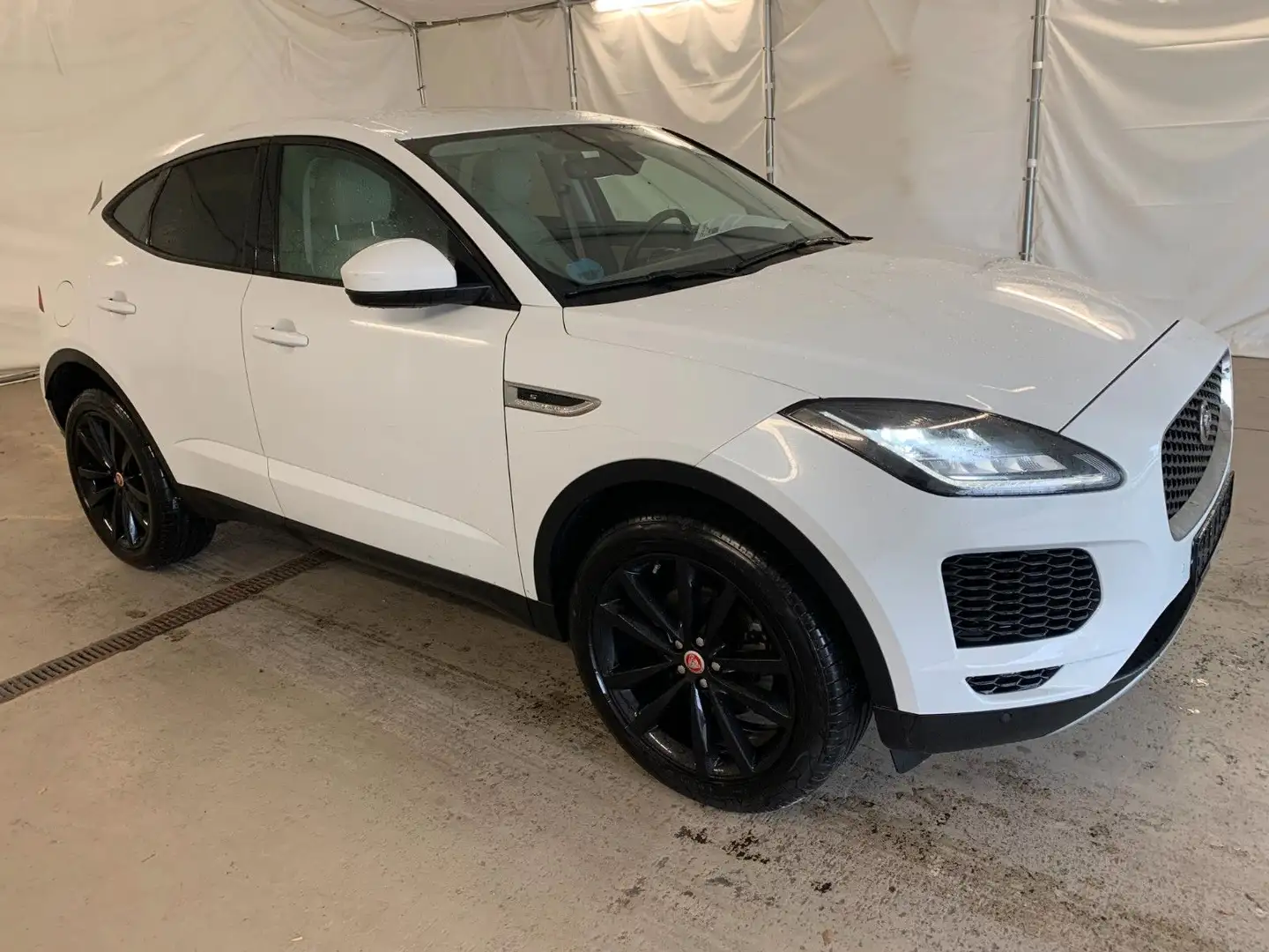Jaguar E-Pace E-PACE S LED Navi Vollleder 20" SiHz Kamera DAB Bianco - 2