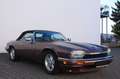 Jaguar XJS Cabrio 2 Jahre Garantie Braun - thumbnail 3