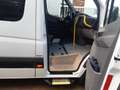 Mercedes-Benz Sprinter Combi 316 Personen / Rolstoelvervoer |Rolstoelbus White - thumbnail 32