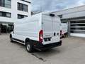 Fiat Ducato Maxi 35 L4H2 NUR FÜR KEP,DPD,HERMES,GLS Weiß - thumbnail 6