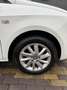 SEAT Ibiza SC 1.4 TSI *Clima*Cruise*LM*Nap* Blanc - thumbnail 11