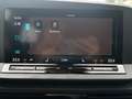 Volkswagen Caddy TDI 4MOTION Grau - thumbnail 11