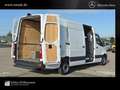 Mercedes-Benz Sprinter 317 Kasten L3H2 MBUX*Klima*Mopf*Autom. Weiß - thumbnail 24