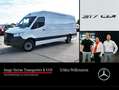 Mercedes-Benz Sprinter 317 Kasten L3H2 MBUX*Klima*Mopf*Autom. Weiß - thumbnail 1