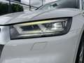 Audi Q5 40 2.0 tdi S line Plus quattro 190cv s-tronic my20 Blanc - thumbnail 7
