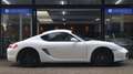 Porsche Cayman S 3.4 295pk|Cruise|Clima|PDC|Leder. Blanc - thumbnail 5