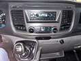 Ford Transit 2.0ECOBLUE 130CV L2H2 350 Blanco - thumbnail 15