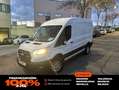 Ford Transit 2.0ECOBLUE 130CV L2H2 350 Blanco - thumbnail 1
