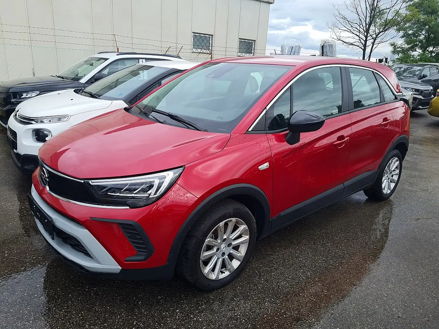 Opel Crossland 1,5 CDTI Business Edition Aut. Rot - 1