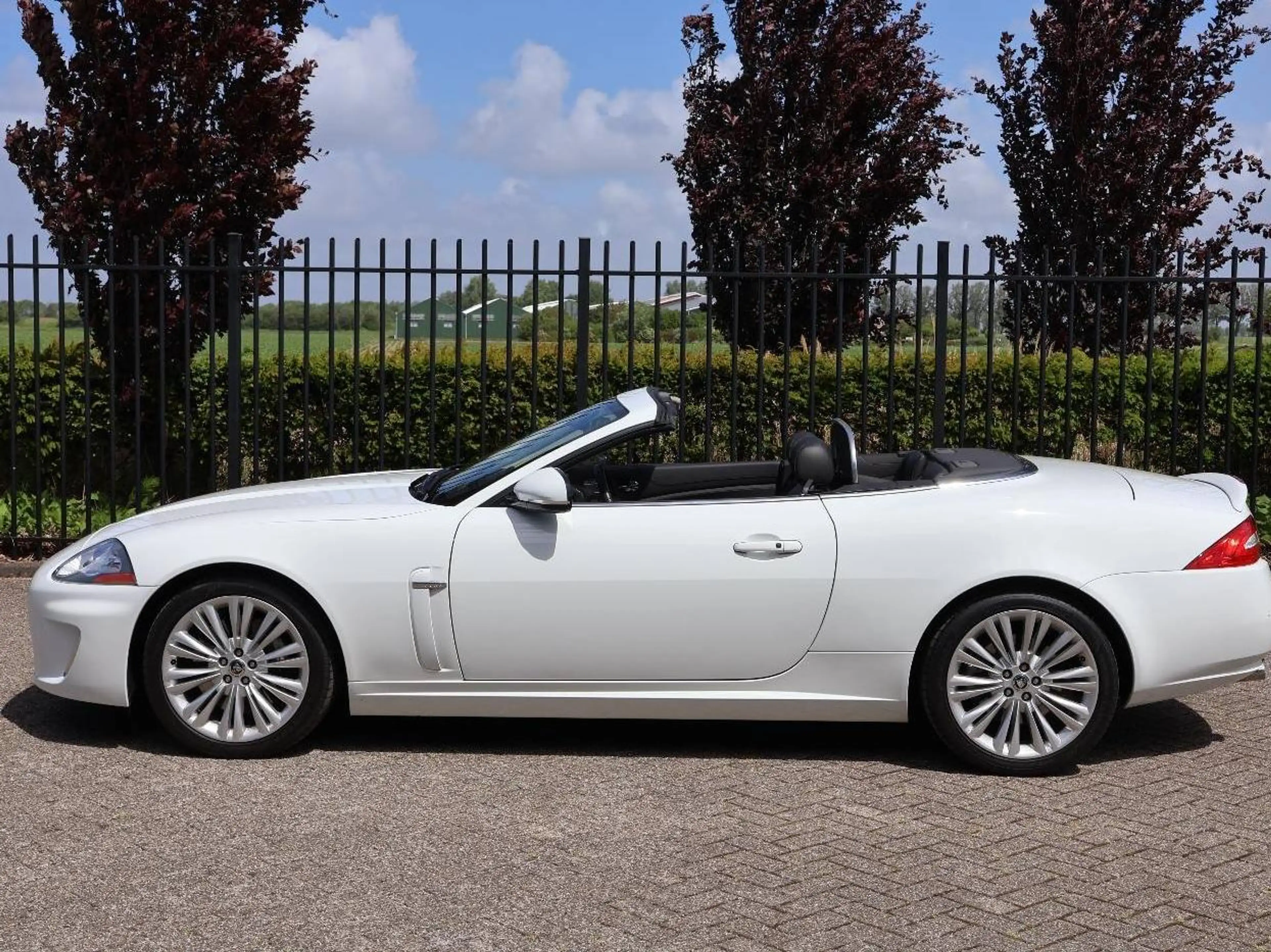 Jaguar XK 5.0 V8 Convertible — photo 3