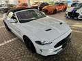 Ford Mustang GT Cabrio 6gang + FRONTKAMERA + Garantie Weiß - thumbnail 15