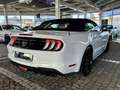 Ford Mustang GT Cabrio 6gang + FRONTKAMERA + Garantie Weiß - thumbnail 11