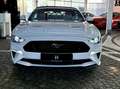 Ford Mustang GT Cabrio 6gang + FRONTKAMERA + Garantie Weiß - thumbnail 18
