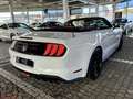 Ford Mustang GT Cabrio 6gang + FRONTKAMERA + Garantie Weiß - thumbnail 6