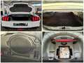 Ford Mustang GT Cabrio 6gang + FRONTKAMERA + Garantie Weiß - thumbnail 39