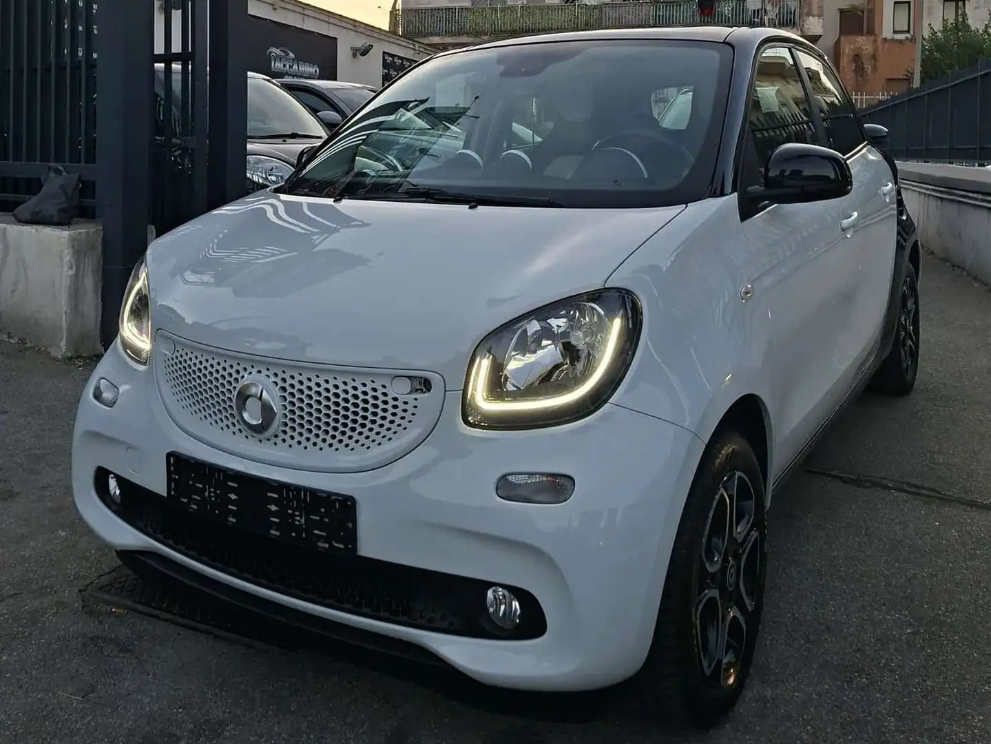 smart forFour Forfour 1.0 Passion 71cv Blanc - 1
