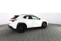 Lexus UX 250h UX Hybrid Midnight Bianco - thumbnail 3