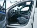 Porsche Panamera 4 E-Hybrid Gris - thumbnail 15