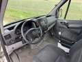 Mercedes-Benz Sprinter 313 CDI 3,5t Weiß - thumbnail 6