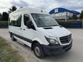 Mercedes-Benz Sprinter 313 CDI 3,5t Weiß - thumbnail 2