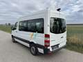 Mercedes-Benz Sprinter 313 CDI 3,5t Weiß - thumbnail 4