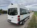 Mercedes-Benz Sprinter 313 CDI 3,5t Weiß - thumbnail 3