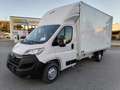 Opel Movano Furgonato 35qt nuovo a soli 34.850 +iva Bianco - thumbnail 3