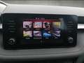 Skoda Fabia 1.0 TSI Tour AHK GRA Side Assist GAR 07/28 Gris - thumbnail 14