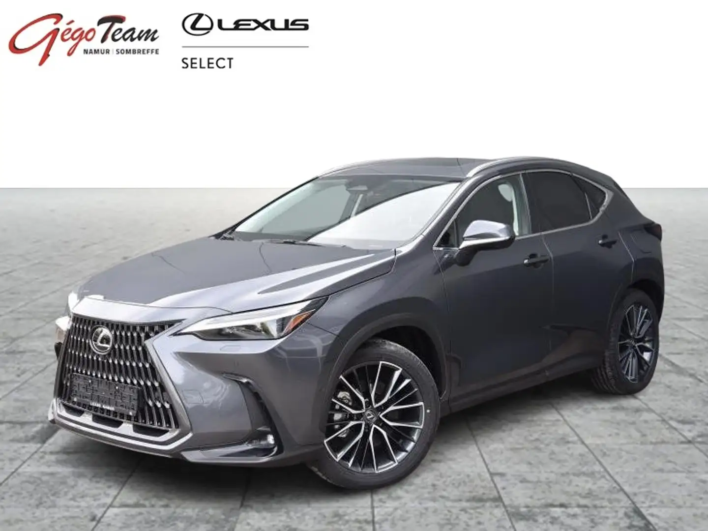 Lexus NX 450h+ 2.5 Privilege Line Gris - 1
