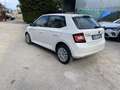 Skoda Fabia 1.4 tdi Executive 75cv - thumbnail 6