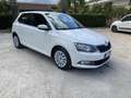 Skoda Fabia 1.4 tdi Executive 75cv - thumbnail 1